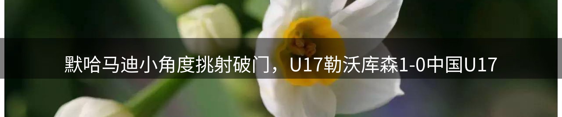 内页banner